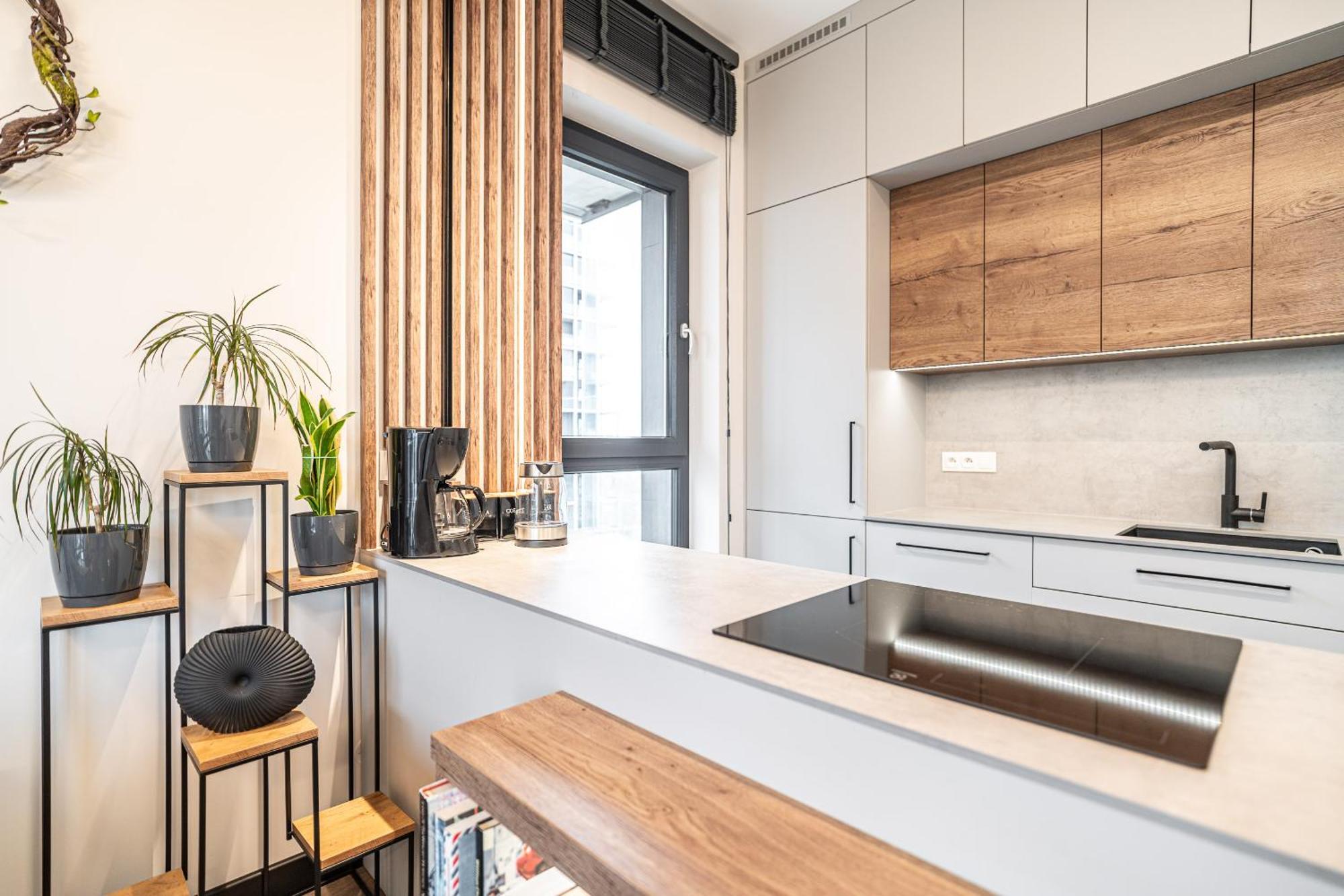 Rentplanet - Przy Muzeum Slaskim Apartment